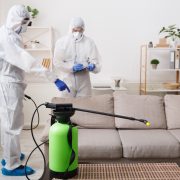 Cleaning company making treatment of sofas and surfaces